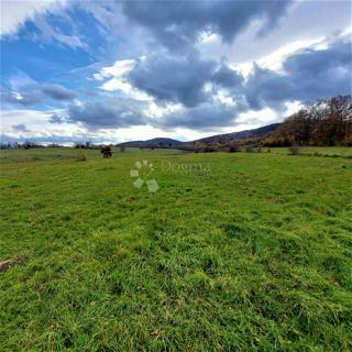 Kmetijsko zemljišče Kestenovac, Donji Lapac, 3.776m2