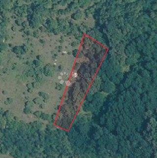 Kmetijsko zemljišče Čabrunići, Svetvinčenat, 1.315m2