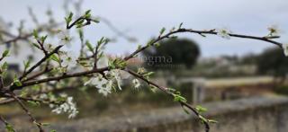 Zazidljivo zemljišče Barbariga, Vodnjan, 534m2