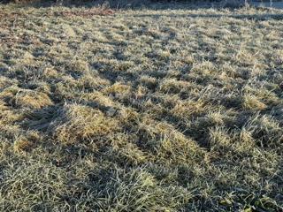 Zazidljivo zemljišče Centar, Čakovec, 520m2