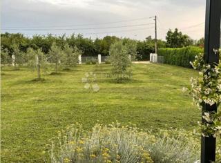 Gradbeno zemljišče Prostrano v bližini Pule - idealno za več hiš