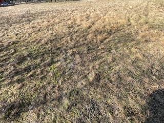 Zazidljivo zemljišče Dražice, Jelenje, 796m2