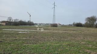 Zazidljivo zemljišče Veliko Korenovo, Bjelovar - Okolica, 8.500m2