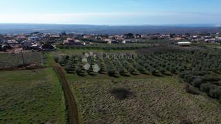 Zazidljivo zemljišče Kaštelir, Kaštelir-Labinci, 599m2