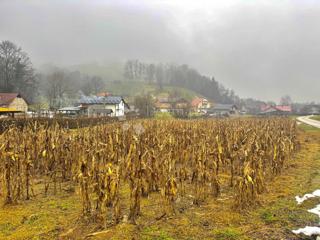 Zazidljivo zemljišče Babinec, Cestica, 1.140m2