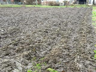 Kmetijsko zemljišče Prekno, Vidovec, 1.295m2