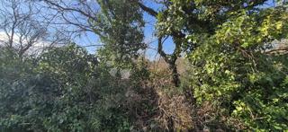 Zazidljivo zemljišče Peruški, Marčana, 4.576m2