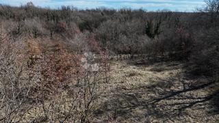 Zazidljivo zemljišče Orbanići, Žminj, 3.000m2