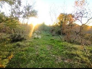 Kmetijsko zemljišče Bale, 22.277m2