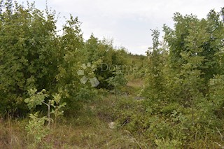 Zemljišče Kršan, 4.000m2
