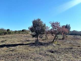 Zemljišče Peroj, Vodnjan, 496m2