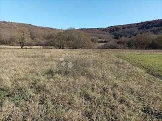 Zemljišče Kanfanar, 3.610m2
