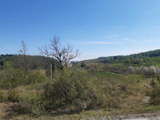 Zemljišče Kunić, Plaški, 4.000m2