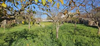 Zemljišče Vodnjan, 1.043m2