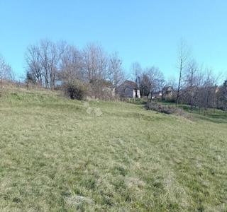 Kmetijsko zemljišče Ljubošina, Vrbovsko, 1.572m2