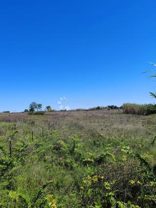 Zazidljivo zemljišče Sabunike, Privlaka, 2.342m2