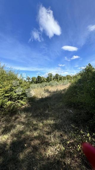 Zemljišče Nova Vas, Poreč, 15.530m2