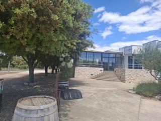 Poslovni prostor Zaton, Nin, 502m2