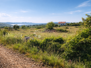 Zazidljivo zemljišče Debeljak, Sukošan, 660m2