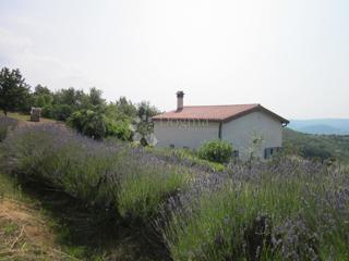 Hiša Grožnjan, 47m2