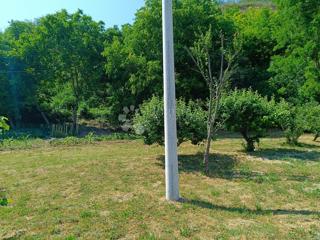 Kmetijsko zemljišče Batina, Draž, 1.020m2