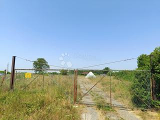 Kmetijsko zemljišče Petrijevci, 8.499m2