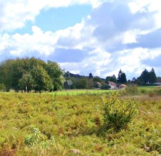 Kmetijsko zemljišče Oštarije, Josipdol, 24.076m2