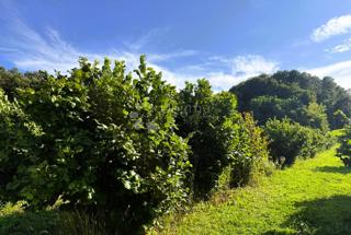 Kmetijsko zemljišče Kelemen, Jalžabet, 1.583m2