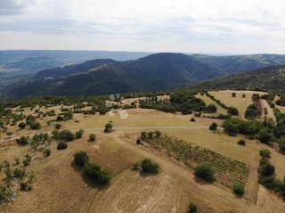 Zazidljivo zemljišče Oprtalj, 9.481m2