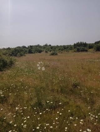 Kmetijsko zemljišče 47760m2 - Krmed