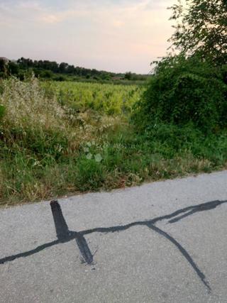 Zazidljivo zemljišče Benkovac, 1.871m2