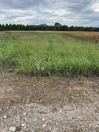 Kmetijsko zemljišče Jalkovec, Varaždin - Okolica, 2.135m2