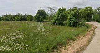 Zazidljivo zemljišče Domijanići, Žminj, 1.340m2