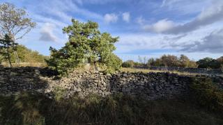 Pašnik, ograjen s suhozidom, površina 1705 m2