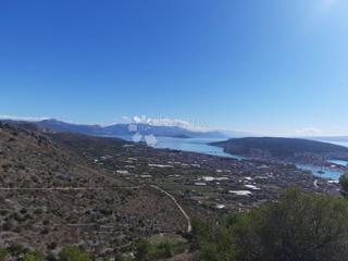 Kmetijsko zemljišče Seget Gornji, Seget, 4.850m2