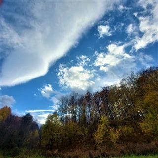 Kmetijsko zemljišče Kestenovac, Donji Lapac, 5.090m2