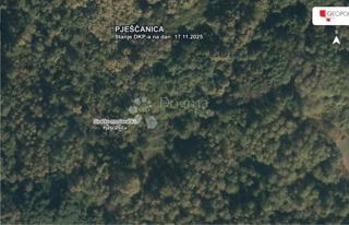 Kmetijsko zemljišče Pješčanica, Gvozd, 8.369m2