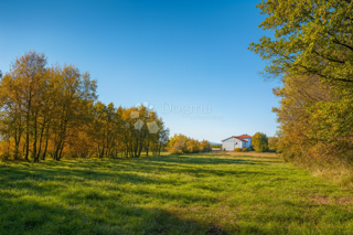 Stavbno in kmetijsko zemljišče 4.793 m² – Kringa, Tinjan