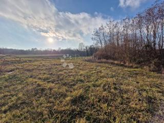 Zazidljivo zemljišče Žminj, 1.665m2