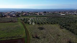 Zazidljivo zemljišče Kaštelir, Kaštelir-Labinci, 599m2