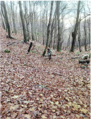 Zemljišče Kaniža, Ivanec, 399m2