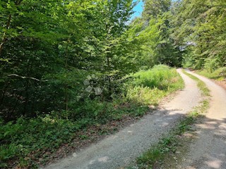 Zemljišče Donji Zvečaj, Duga Resa, 10.229m2