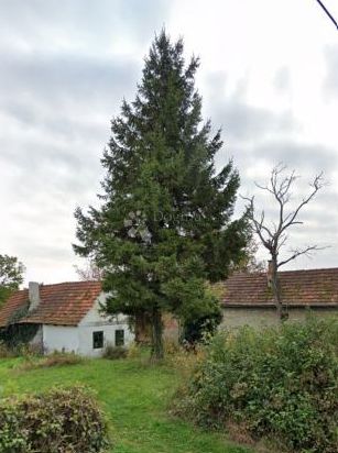 Zazidljivo zemljišče Markušbrijeg, Lobor, 4.873m2