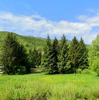 Kmetijsko zemljišče Brod Moravice, 457m2