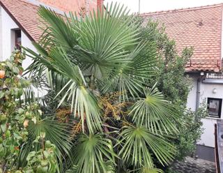 Hiša Gornja Dubrava, 116m2