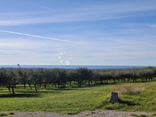 Zazidljivo zemljišče Poreč, 751m2