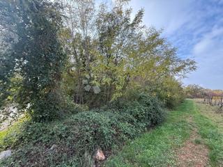 Zazidljivo zemljišče Poreč, 4.310m2