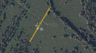 Kmetijsko zemljišče Lonja, Sisak - Okolica, 1.910m2