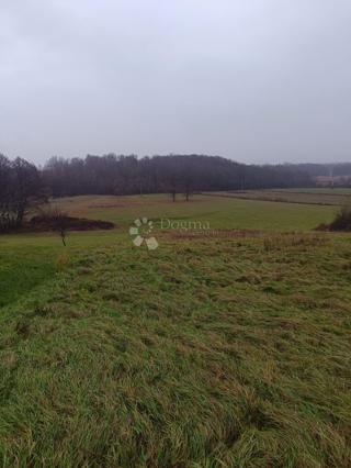 Kmetijsko zemljišče Bratina, Pisarovina, 8.250m2