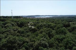 Zemljišče Ližnjan, 3.917m2